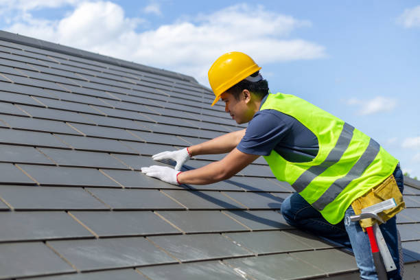 Best Storm Damage Roof Repair  in Clintwood, VA